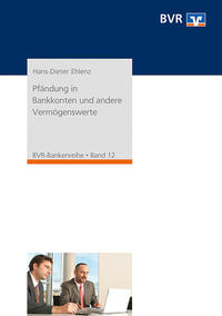 Vorderes Coverbild Pfändung in Bankkonten und andere Vermögenswerte