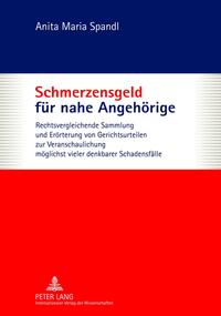Vorderes Coverbild Schmerzensgeld für nahe Angehörige