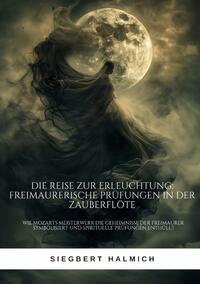 Vorderes Coverbild Die Reise zur Erleuchtung Freimaurerische Prüfungen in der Zauberflöte