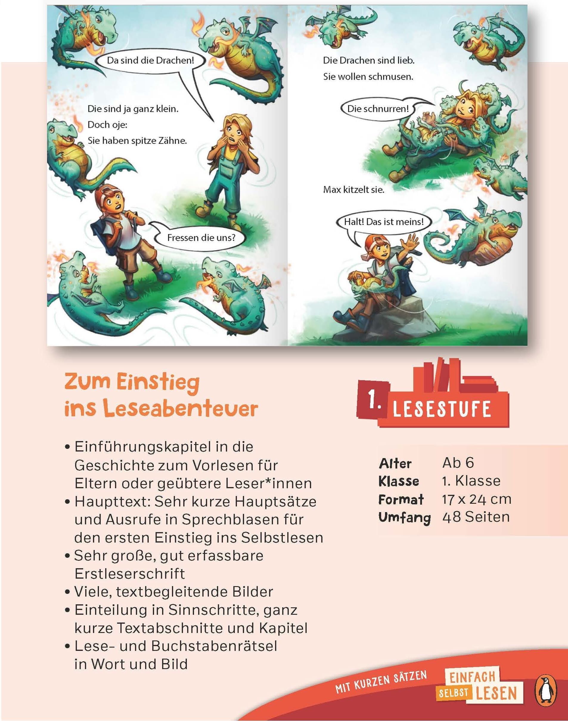 Beispielinhalt (Bild) Der geheime Drachenwald