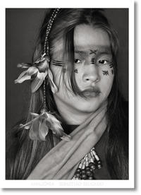 Vorderes Coverbild Sebastião Salgado. Amazônia. Poster ‘Ashaninka Girl’