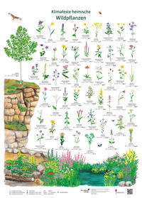 Vorderes Coverbild Klimafeste heimische Wildpflanzen