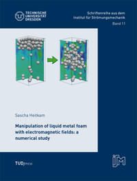 Vorderes Coverbild Manipulation of liquid metal foam with electromagnetic fields: a numerical study