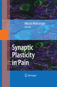 Vorderes Coverbild Synaptic Plasticity in Pain