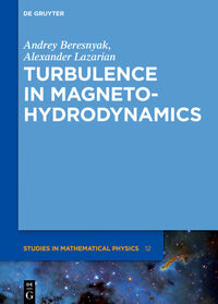 Vorderes Coverbild Turbulence in Magnetohydrodynamics