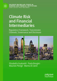 Vorderes Coverbild Climate Risk and Financial Intermediaries