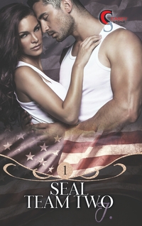Vorderes Coverbild Seal Team Two