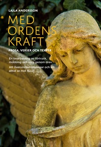 Vorderes Coverbild Med ordens kraft