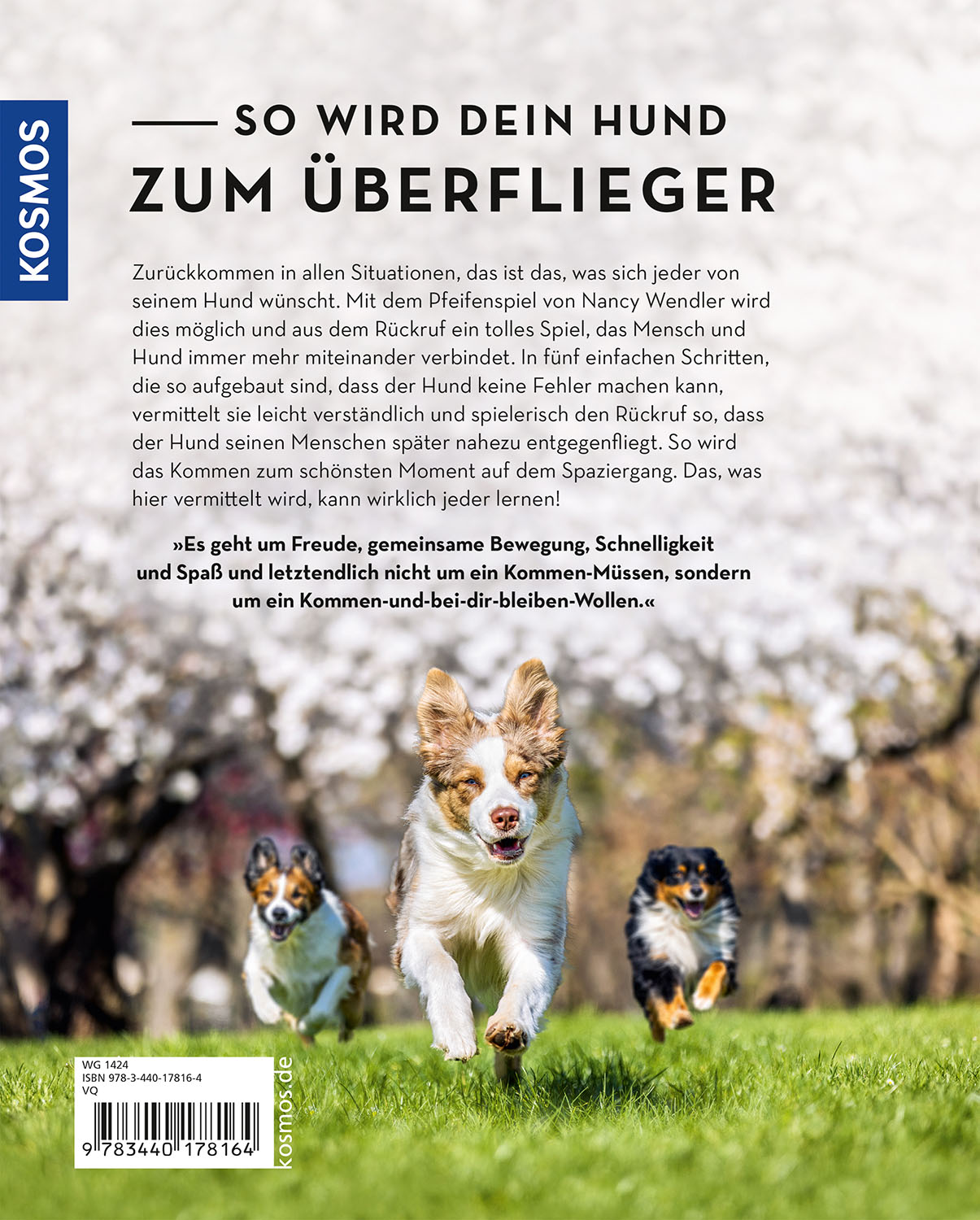 Rückseitencover Das Pfeifenspiel
