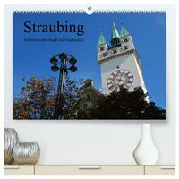 Vorderes Coverbild Straubing, liebenswerte Stadt im Gäuboden (hochwertiger Premium Wandkalender 2026 DIN A2 quer), Kunstdruck in Hochglanz