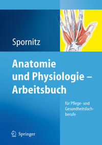 Vorderes Coverbild Anatomie und Physiologie - Arbeitsbuch