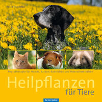 Vorderes Coverbild Heilpflanzen für Tiere