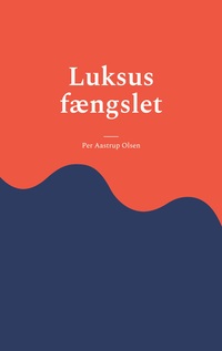 Vorderes Coverbild Luksus fængslet