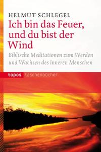 Vorderes Coverbild Ich bin das Feuer, und du bist der Wind