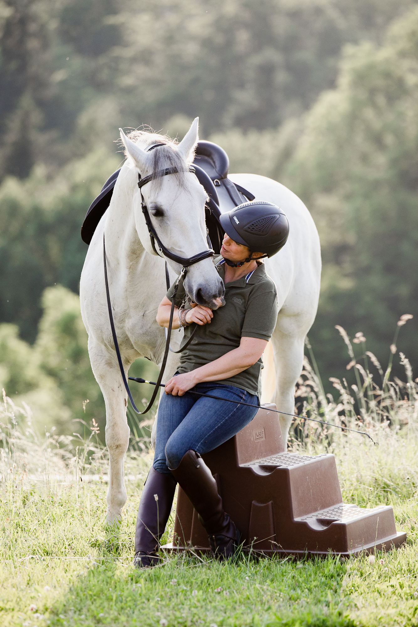 Beispielinhalt (Bild) Einfach (An)Reiten