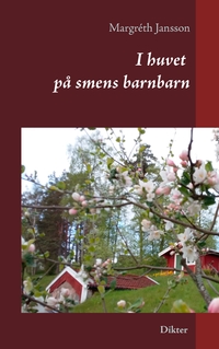 Vorderes Coverbild I huvet på smens barnbarn