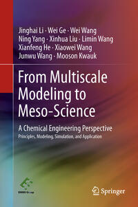 Vorderes Coverbild From Multiscale Modeling to Meso-Science