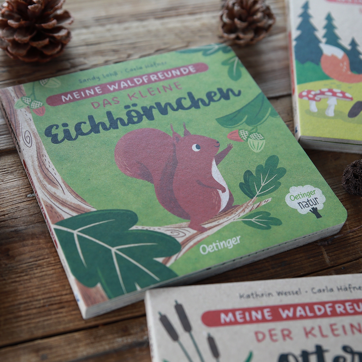 Anderes Coverbild Meine Waldfreunde. Das kleine Eichhörnchen