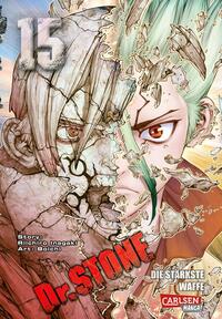 Vorderes Coverbild Dr. Stone 15