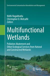 Vorderes Coverbild Multifunctional Wetlands