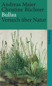 Vorderes Coverbild Bullau