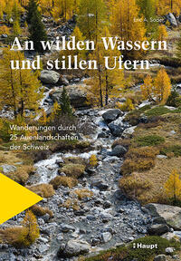 Vorderes Coverbild An wilden Wassern und stillen Ufern