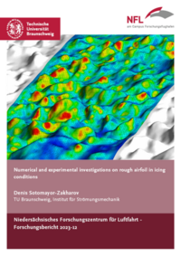 Vorderes Coverbild Numerical and experimental investigations on rough airfoil in icing conditions