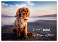 Vorderes Coverbild Dein Hund der treue Begleiter (Wandkalender 2025 DIN A3 quer), CALVENDO Monatskalender