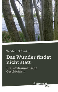 Vorderes Coverbild Das Wunder findet nicht statt