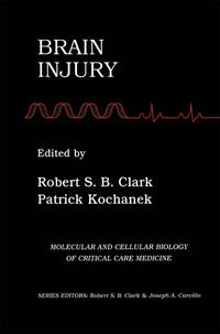 Vorderes Coverbild Brain Injury