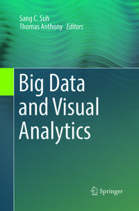 Vorderes Coverbild Big Data and Visual Analytics