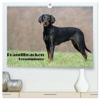 Vorderes Coverbild Der Brandlbracken-Terminplaner (hochwertiger Premium Wandkalender 2025 DIN A2 quer), Kunstdruck in Hochglanz