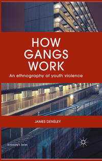 Vorderes Coverbild How Gangs Work