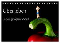 Vorderes Coverbild Überleben in der großen Welt - HO Figuren (Tischkalender 2025 DIN A5 quer), CALVENDO Monatskalender