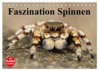 Vorderes Coverbild Faszination Spinnen (Tischkalender 2025 DIN A5 quer), CALVENDO Monatskalender
