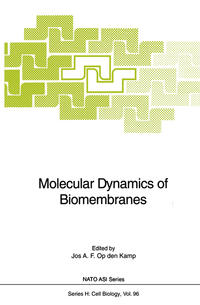 Vorderes Coverbild Molecular Dynamics of Biomembranes