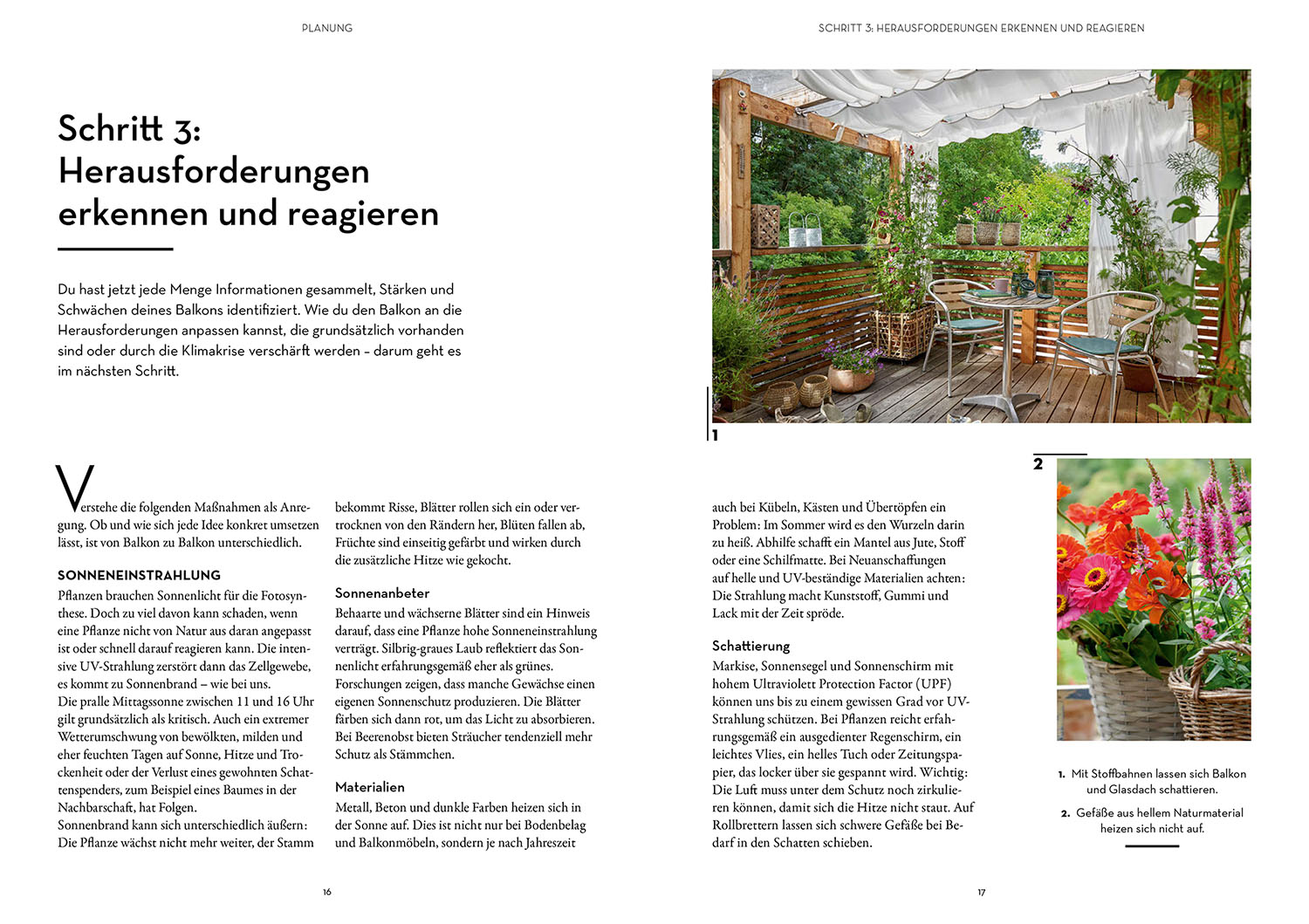 Beispielinhalt (Bild) Klimahelden auf dem Balkon