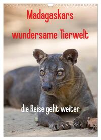 Vorderes Coverbild Madagaskars wundersame Tierwelt - die Reise geht weiter (Wandkalender 2025 DIN A3 hoch), CALVENDO Monatskalender