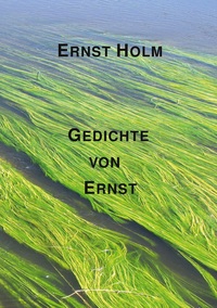 Vorderes Coverbild Gedichte von Ernst