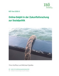 Vorderes Coverbild Online-Delphi in der Zukunftsforschung zur Sozialpolitik
