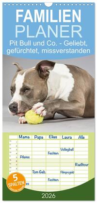 Vorderes Coverbild Familienplaner 2026 - Pit Bull und Co. - Geliebt, gefürchtet, missverstanden mit 5 Spalten (Wandkalender, 21 x 45 cm) CALVENDO
