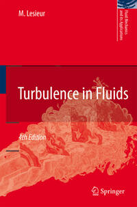 Vorderes Coverbild Turbulence in Fluids