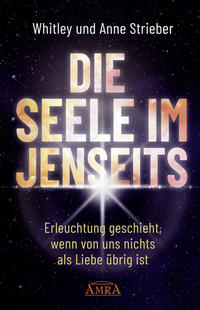 Vorderes Coverbild DIE SEELE IM JENSEITS. Erleuchtung geschieht, wenn von uns nichts als Liebe übrig ist