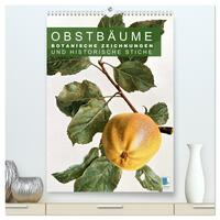 Vorderes Coverbild Obstbäume: Botanische Zeichnungen und historische Stiche (hochwertiger Premium Wandkalender 2026 DIN A2 hoch), Kunstdruck in Hochglanz