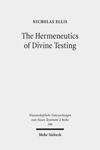 Vorderes Coverbild The Hermeneutics of Divine Testing