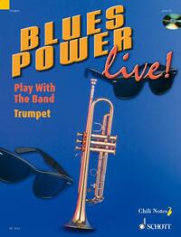 Vorderes Coverbild Blues Power live!