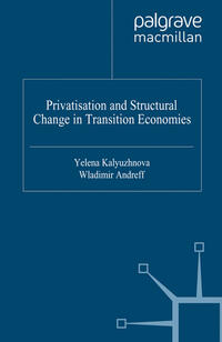 Vorderes Coverbild Privatisation and Structural Change in Transition Economies
