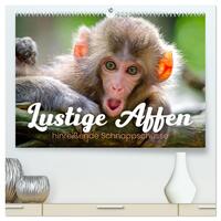 Vorderes Coverbild Lustige Affen - hinreißende Schnappschüsse (hochwertiger Premium Wandkalender 2026 DIN A2 quer), Kunstdruck in Hochglanz