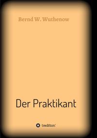 Vorderes Coverbild Der Praktikant