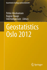 Vorderes Coverbild Geostatistics Oslo 2012